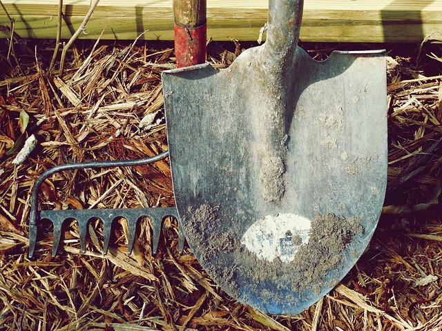 Smarter Finances: Transform Your Wealth with AI-Powered Tools